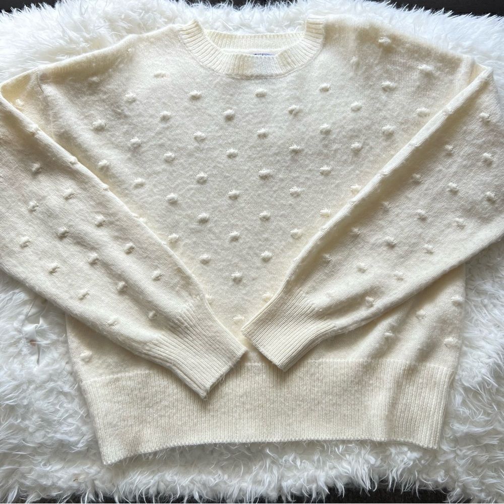 Vylette Pom Pom crew neck sweater